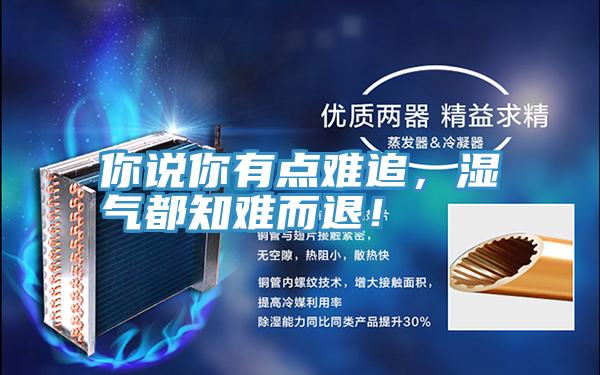 你說你有點(diǎn)難追，濕氣都知難而退！