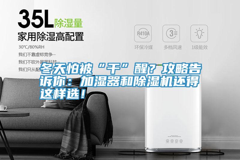 冬天怕被“干”醒？攻略告訴你：加濕器和除濕機還得這樣選！