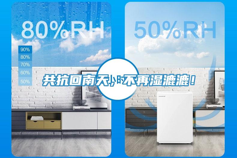 共抗回南天，不再濕漉漉！