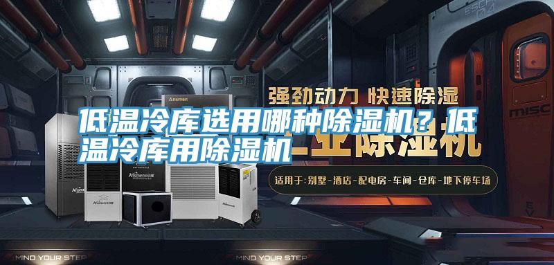 低溫冷庫選用哪種除濕機？低溫冷庫用除濕機