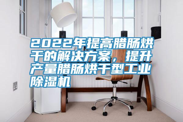 2022年提高臘腸烘干的解決方案，提升產(chǎn)量臘腸烘干型工業(yè)除濕機