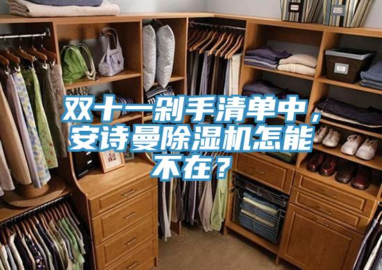 雙十一剁手清單中，安詩曼除濕機(jī)怎能不在？