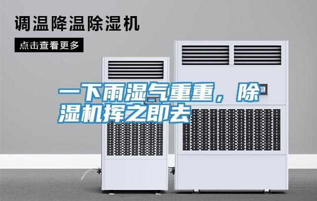 一下雨濕氣重重，除濕機(jī)揮之即去