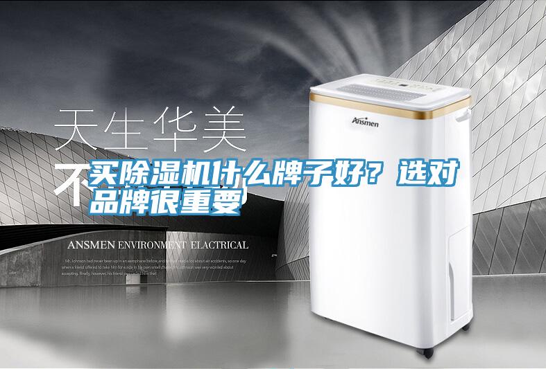 買(mǎi)除濕機(jī)什么牌子好？選對(duì)品牌很重要
