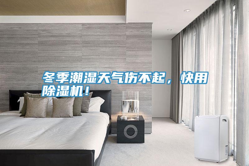 冬季潮濕天氣傷不起，快用除濕機(jī)！