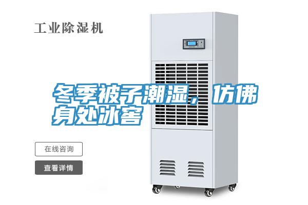 冬季被子潮濕，仿佛身處冰窖