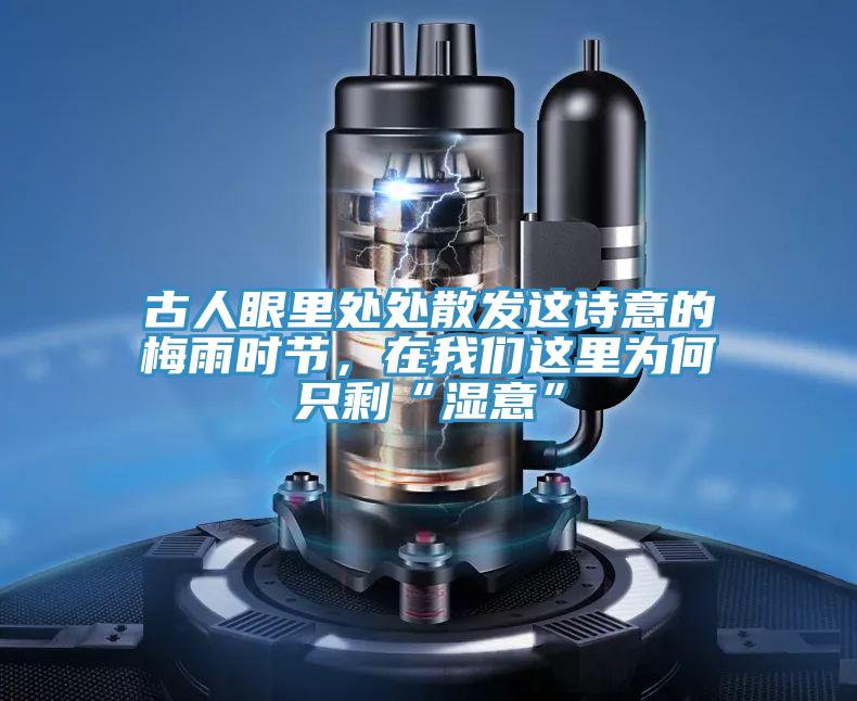 古人眼里處處散發(fā)這詩意的梅雨時節(jié)，在我們這里為何只剩“濕意”