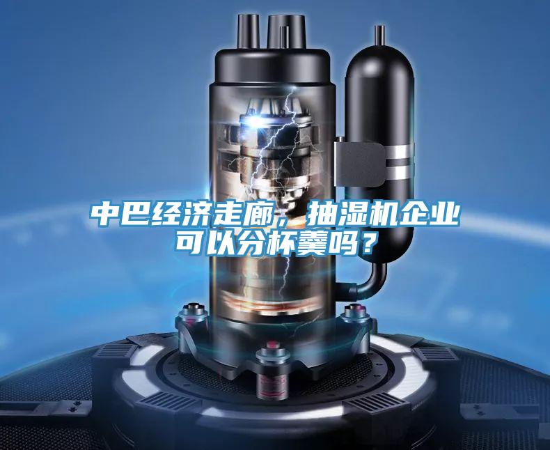 中巴經(jīng)濟(jì)走廊，抽濕機(jī)企業(yè)可以分杯羹嗎？