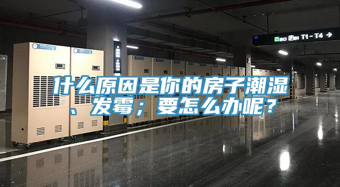 什么原因是你的房子潮濕、發(fā)霉；要怎么辦呢？