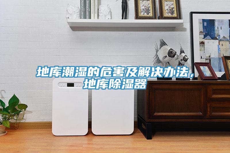地庫潮濕的危害及解決辦法，地庫除濕器