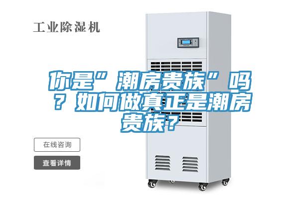 你是”潮房貴族”嗎？如何做真正是潮房貴族？
