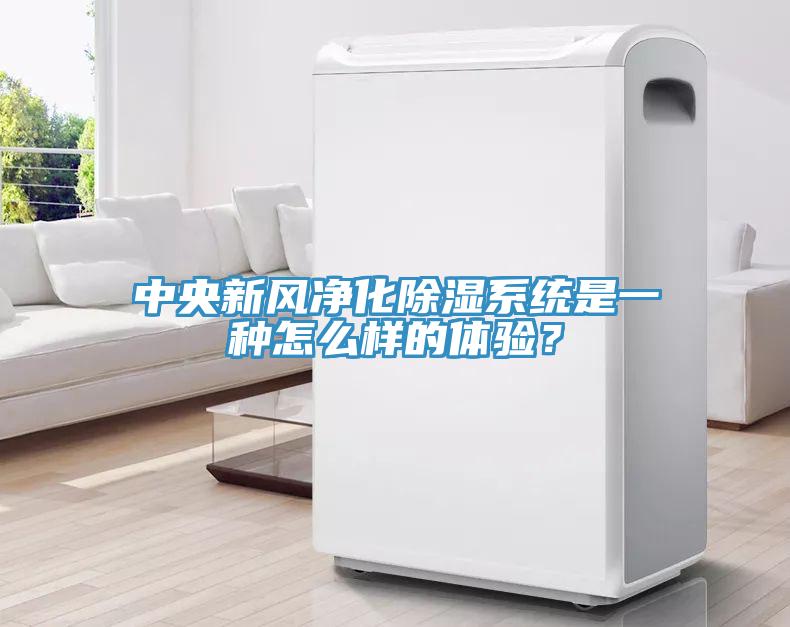 中央新風(fēng)凈化除濕系統(tǒng)是一種怎么樣的體驗(yàn)？