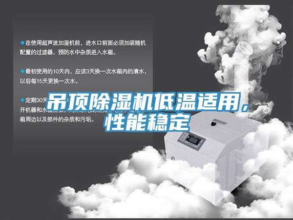 吊頂除濕機低溫適用，性能穩(wěn)定
