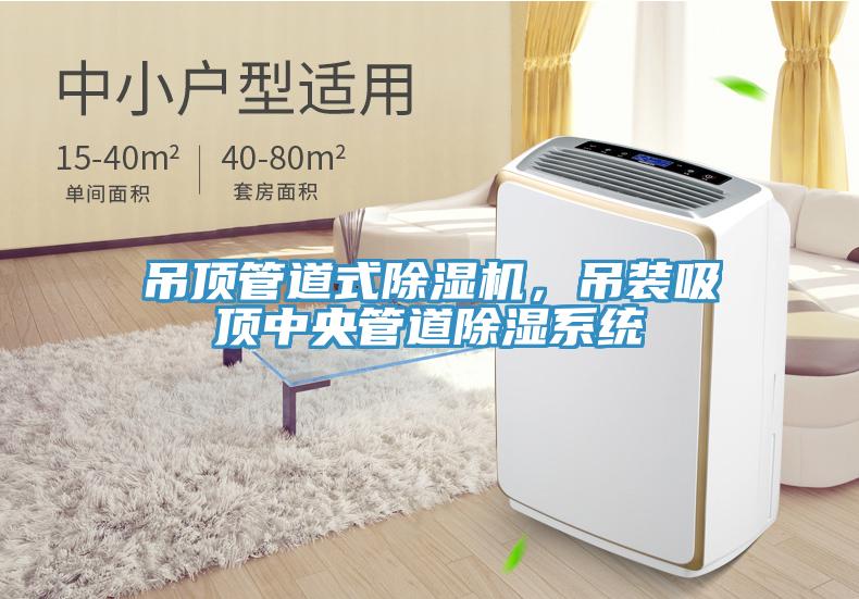 吊頂管道式除濕機，吊裝吸頂中央管道除濕系統(tǒng)