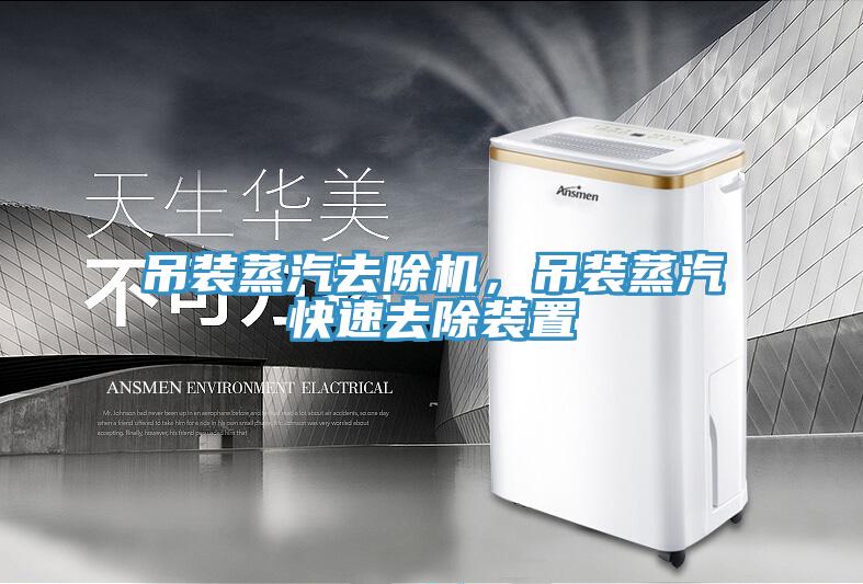 吊裝蒸汽去除機，吊裝蒸汽快速去除裝置