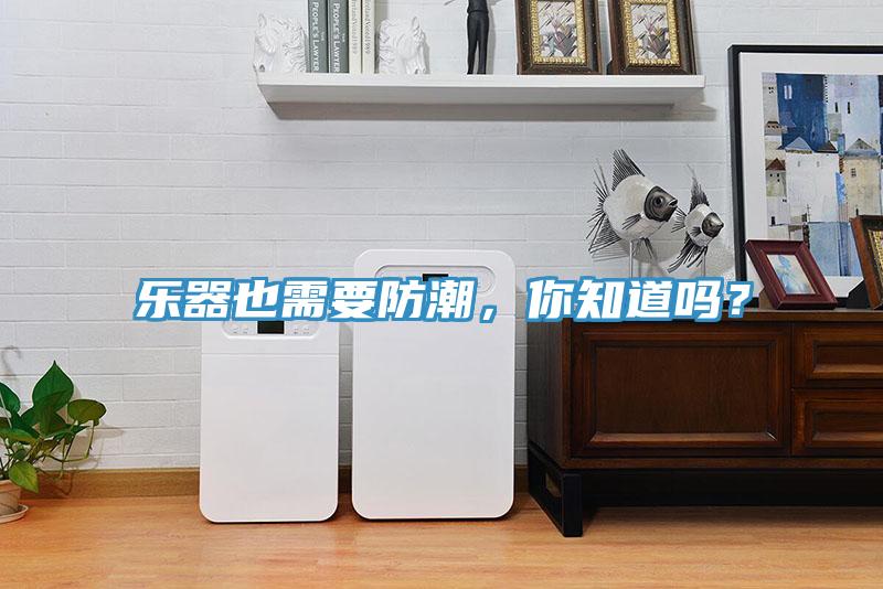 樂器也需要防潮，你知道嗎？