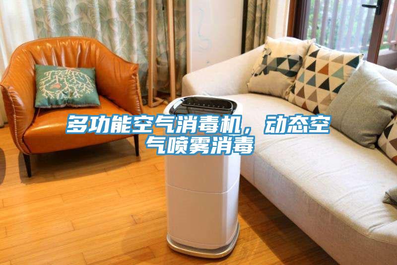 多功能空氣消毒機，動態(tài)空氣噴霧消毒