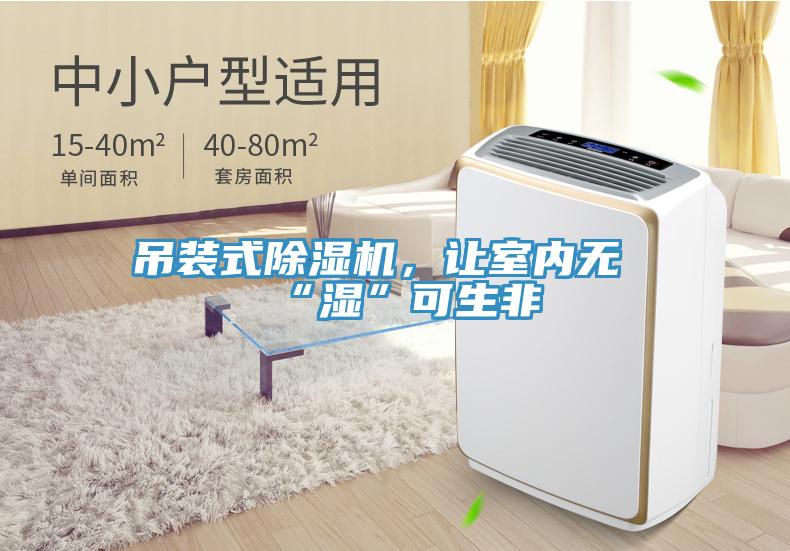 吊裝式除濕機，讓室內(nèi)無“濕”可生非