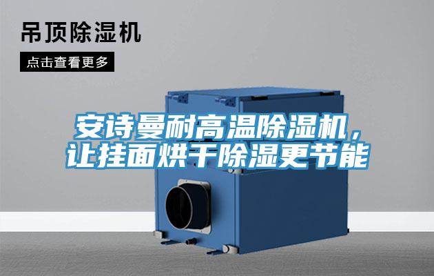 安詩曼耐高溫除濕機(jī)，讓掛面烘干除濕更節(jié)能