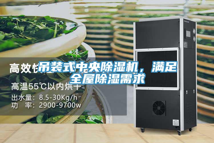 吊裝式中央除濕機，滿足全屋除濕需求