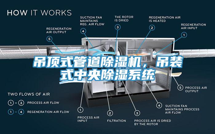 吊頂式管道除濕機，吊裝式中央除濕系統(tǒng)