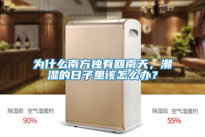 為什么南方獨(dú)有回南天，潮濕的日子里該怎么辦？