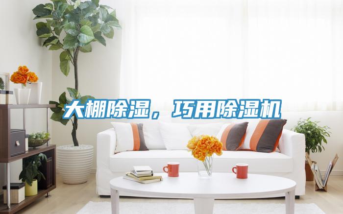 大棚除濕，巧用除濕機(jī)