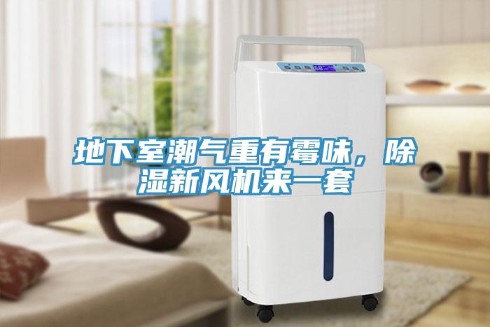 地下室潮氣重有霉味，除濕新風(fēng)機(jī)來一套