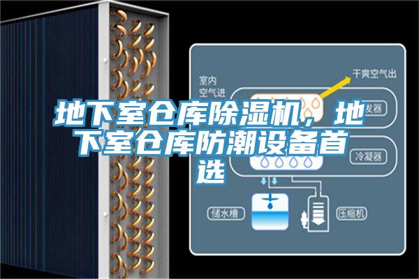 地下室倉(cāng)庫(kù)除濕機(jī)，地下室倉(cāng)庫(kù)防潮設(shè)備首選