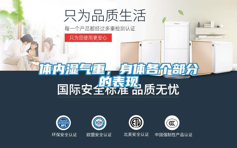 體內(nèi)濕氣重，身體各個部分的表現(xiàn)