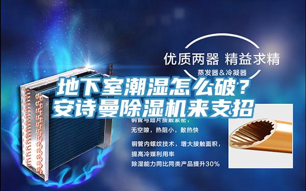 地下室潮濕怎么破？安詩曼除濕機(jī)來支招