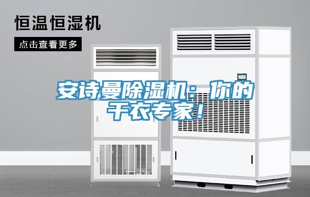 安詩曼除濕機：你的干衣專家！