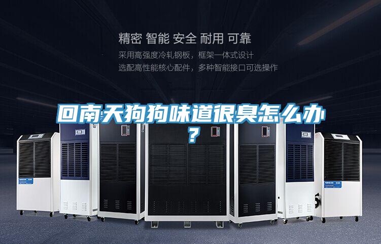 回南天狗狗味道很臭怎么辦？