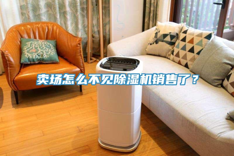 賣場(chǎng)怎么不見除濕機(jī)銷售了？