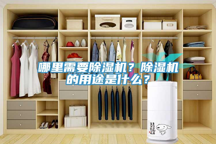 哪里需要除濕機？除濕機的用途是什么？