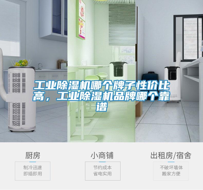 工業(yè)除濕機(jī)哪個(gè)牌子性價(jià)比高，工業(yè)除濕機(jī)品牌哪個(gè)靠譜