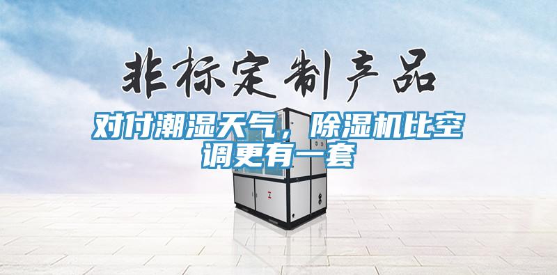 對(duì)付潮濕天氣，除濕機(jī)比空調(diào)更有一套