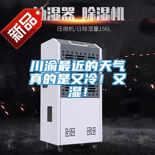 川渝最近的天氣真的是又冷！又濕！