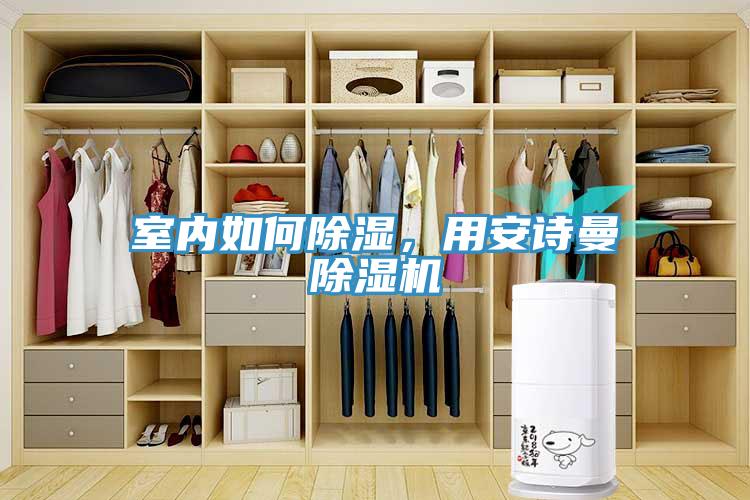 室內(nèi)如何除濕，用安詩曼除濕機