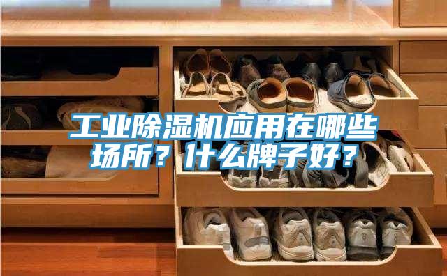 工業(yè)除濕機(jī)應(yīng)用在哪些場所？什么牌子好？