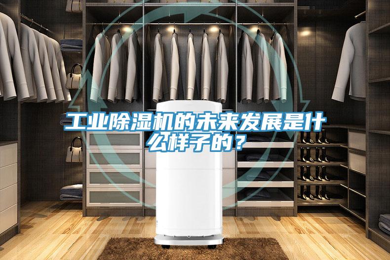 工業(yè)除濕機(jī)的未來(lái)發(fā)展是什么樣子的？