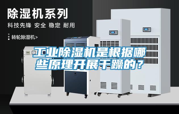 工業(yè)除濕機(jī)是根據(jù)哪些原理開展干躁的？