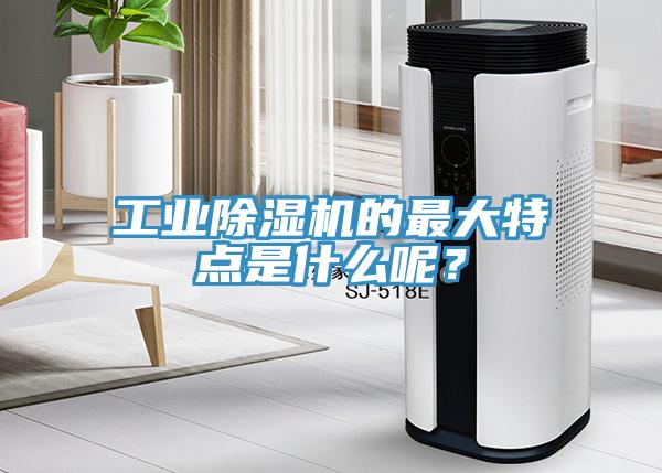 工業(yè)除濕機(jī)的最大特點(diǎn)是什么呢？