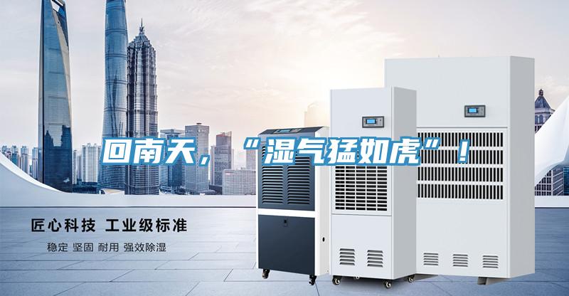 回南天，“濕氣猛如虎”！