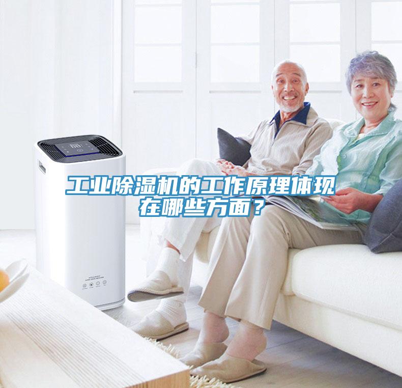 工業(yè)除濕機(jī)的工作原理體現(xiàn)在哪些方面？