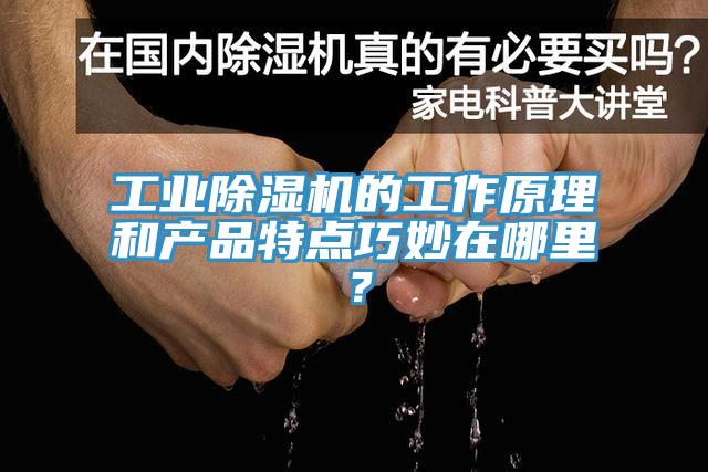 工業(yè)除濕機(jī)的工作原理和產(chǎn)品特點(diǎn)巧妙在哪里？