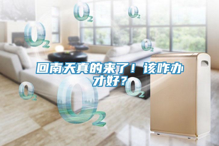 回南天真的來了！該咋辦才好？