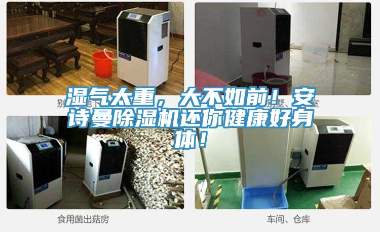 濕氣太重，大不如前！安詩(shī)曼除濕機(jī)還你健康好身體！