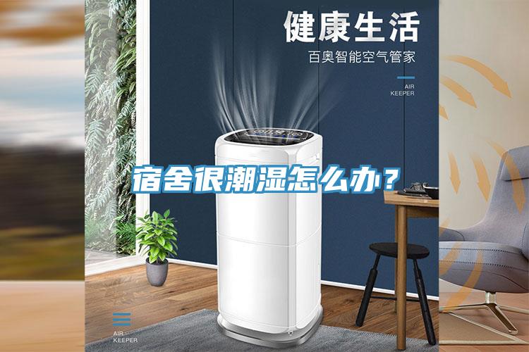 宿舍很潮濕怎么辦？