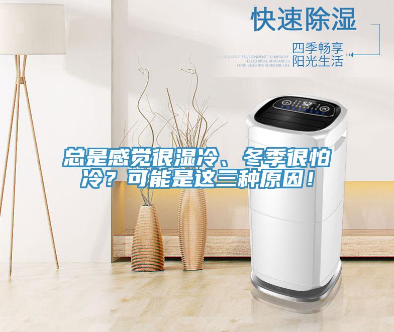 總是感覺很濕冷、冬季很怕冷？可能是這三種原因！
